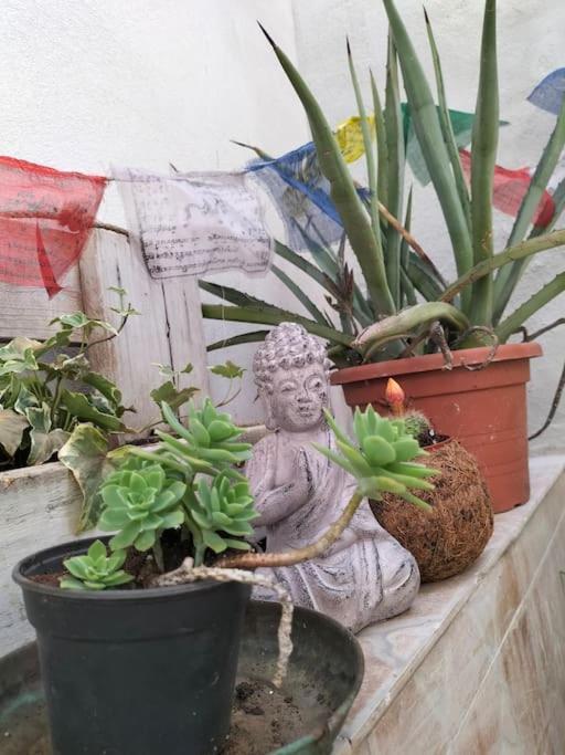Apartament Casa Marta Cagliari Zewnętrze zdjęcie